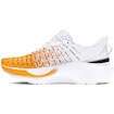 Herren Laufschuhe Under Armour Infinite Elite We Run WHT