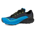 Herren-Outdoorschuhe Dynafit  ULTRA 50 GTX Black Out/Reef