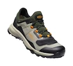 Herren-Outdoorschuhe Keen Tempo Flex Wp Vetiver/Desert Sun