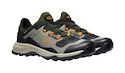 Herren-Outdoorschuhe Keen Tempo Flex Wp Vetiver/Desert Sun