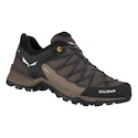 Herren-Outdoorschuhe Salewa  MS MTN Trainer Lite Gtx  Wallnut/Fluo Orange