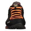 Herren-Outdoorschuhe Salewa  MTN Trainer 2 GTX