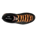 Herren-Outdoorschuhe Salewa  MTN Trainer 2 GTX