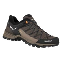 Herren-Outdoorschuhe Salewa  MTN Trainer Lite GTX