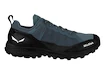 Herren-Outdoorschuhe Salewa  Pedroc PTX M Java Blue/Black