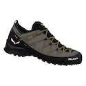 Herren-Outdoorschuhe Salewa  Wildfire 2 Gtx M Bungee Cord/Black