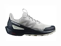 Herren-Outdoorschuhe Salomon  ELIXIR ACTIV Glacier Gray/Carbon/Slate Green  UK 9,5