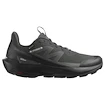 Herren-Outdoorschuhe Salomon Elixir Activ Gore-Tex Phantom/Black/Magnet