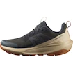 Herren-Outdoorschuhe Salomon Elixir Activ Gore-Tex Phantom/Safari/Caramel Cafe