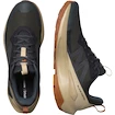 Herren-Outdoorschuhe Salomon Elixir Activ Gore-Tex Phantom/Safari/Caramel Cafe