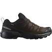 Herren-Outdoorschuhe Salomon X Ultra 360 Leather Gore-Tex Dark Earth/Delicioso/Sharkskin