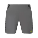 Herren Shorts BIDI BADU  Tulu 7Inch Tech Shorts Grey