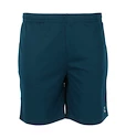 Herren Shorts FZ Forza  Landos M Shorts Poseidon