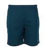 Herren Shorts FZ Forza  Landos M Shorts Poseidon L