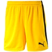 Herren Shorts Puma  Pitch