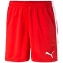 Herren Shorts Puma  Pitch