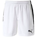 Herren Shorts Puma  Pitch