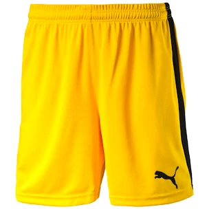 Herren Shorts Puma  Pitch