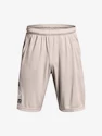 Herren Shorts Under Armour