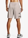 Herren Shorts Under Armour