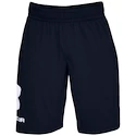 Herren Shorts Under Armour  COTTON BIG LOGO SHORTS blue