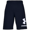 Herren Shorts Under Armour  COTTON BIG LOGO SHORTS blue