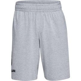 Herren Shorts Under Armour COTTON BIG LOGO SHORTS gray