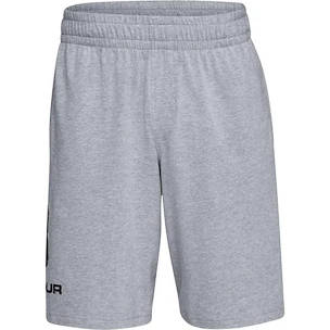 Herren Shorts Under Armour  COTTON BIG LOGO SHORTS gray XXL