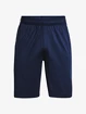 Herren Shorts Under Armour  Raid 2.0 Shorts-NVY