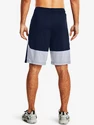 Herren Shorts Under Armour  Raid 2.0 Shorts-NVY