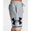 Herren Shorts Under Armour  Rival FLC Big Logo Shorts gray