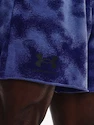 Herren Shorts Under Armour  Rival Terry 6in Short-BLU