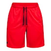 Herren Shorts Under Armour  Tech Mesh Short XXL