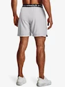 Herren Shorts Under Armour  Vanish Woven 6in Shorts-GRY