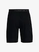 Herren Shorts Under Armour  Vanish Woven 8in Shorts-BLK