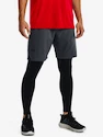 Herren Shorts Under Armour  Vanish Woven 8in Shorts-GRY