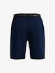 Herren Shorts Under Armour  Vanish Woven 8in Shorts-NVY