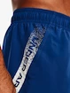 Herren Shorts Under Armour  Woven Graphic Shorts-BLU