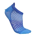 Herren Socken Icebreaker Merino Run+ Ultralight Micro Baja/Brilliant