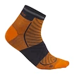 Herren Socken Icebreaker Merino Run+ Ultralight Mini Ray/Graphite