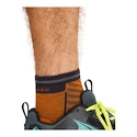 Herren Socken Icebreaker Merino Run+ Ultralight Mini Ray/Graphite