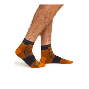 Herren Socken Icebreaker Merino Run+ Ultralight Mini Ray/Graphite