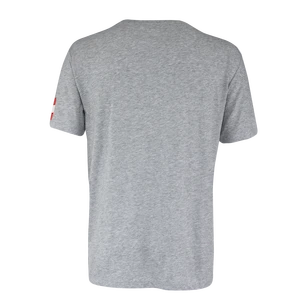 Herren T-Shirt CCM  FLAG TEE TEAM AUSTRIA Athletic Grey