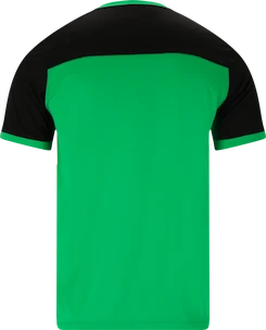 Herren T-Shirt FZ Forza  Alberti M S/S Tee Perfect Green