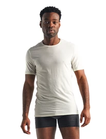 Herren T-Shirt Icebreaker Anatomica SS Crewe white