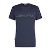 Herren T-Shirt Icebreaker Merino 150 Tech Lite SS T Icebreaker Graphite