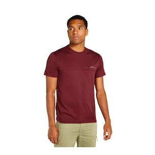 Herren T-Shirt Icebreaker Merino 150 Tech Lite SS T Sing Li Cmp Port