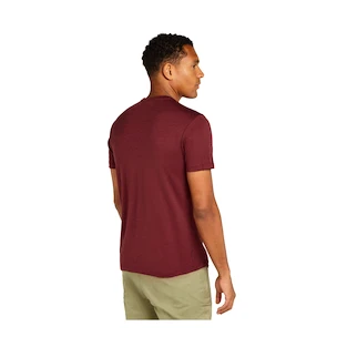 Herren T-Shirt Icebreaker Merino 150 Tech Lite SS T Sing Li Cmp Port