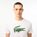 Herren T-Shirt Lacoste  Big Logo Core Performance T-Shirt White/Green