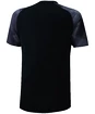 Herren T-Shirt Mizuno  Printed Tee black